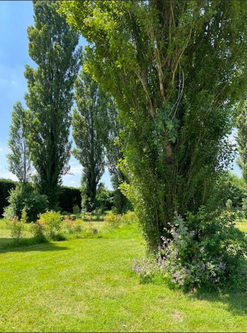 Domaine Des Epinettes Hotell Saint-Romain-de-Jalionas Eksteriør bilde